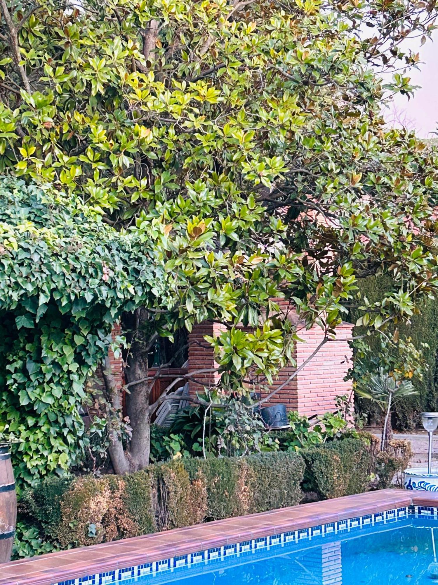 Casa Los Rosales Alfacar Dış mekan fotoğraf