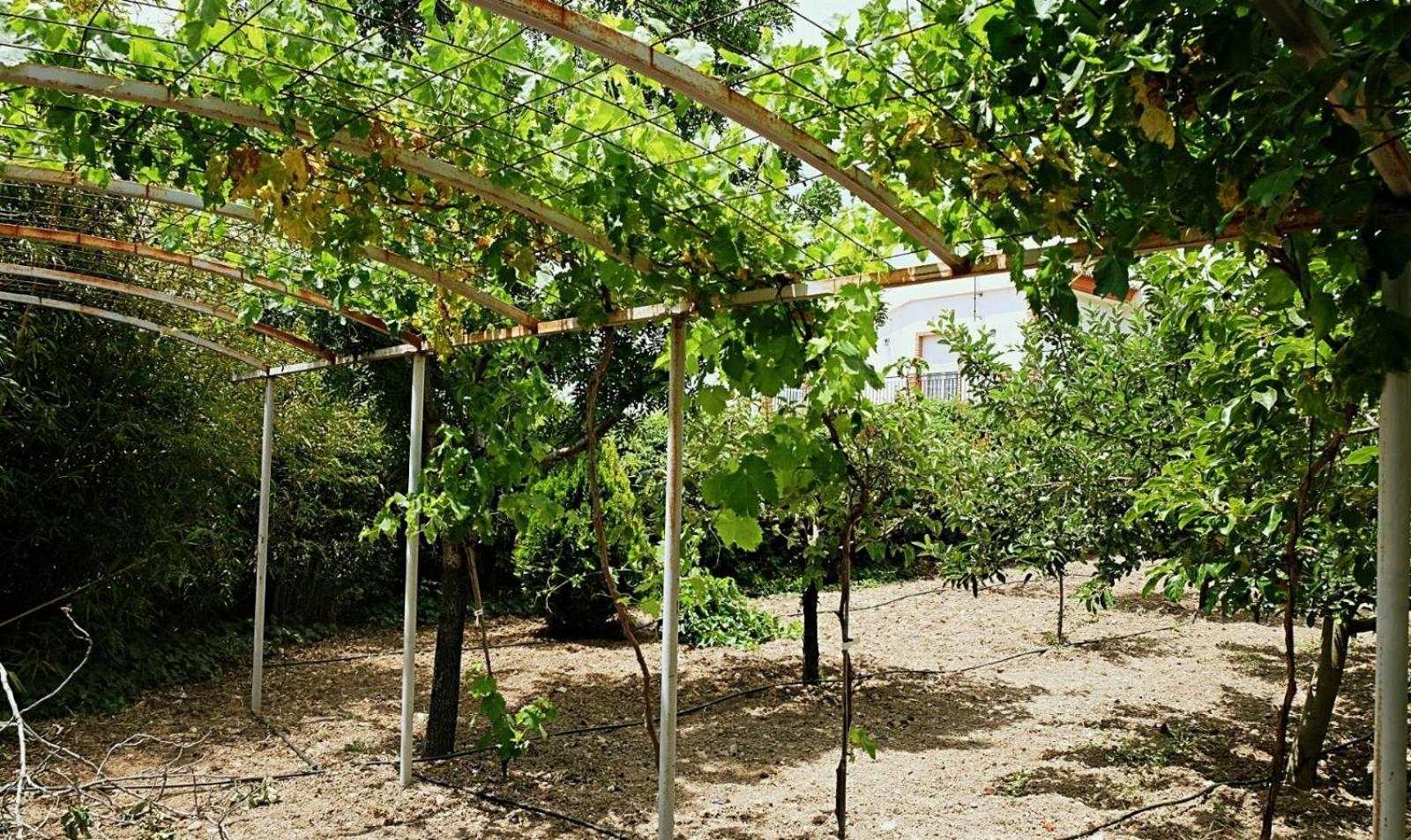 Casa Los Rosales Alfacar Dış mekan fotoğraf