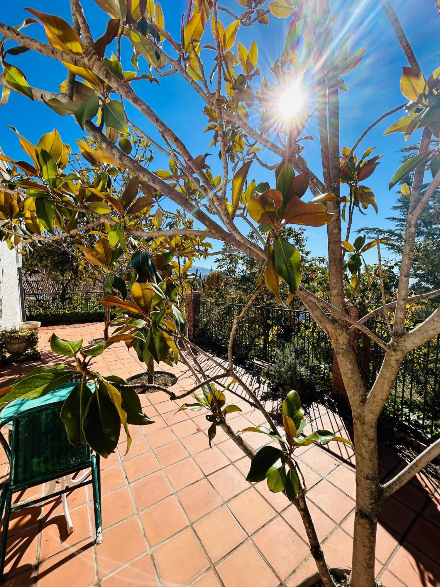 Casa Los Rosales Alfacar Dış mekan fotoğraf