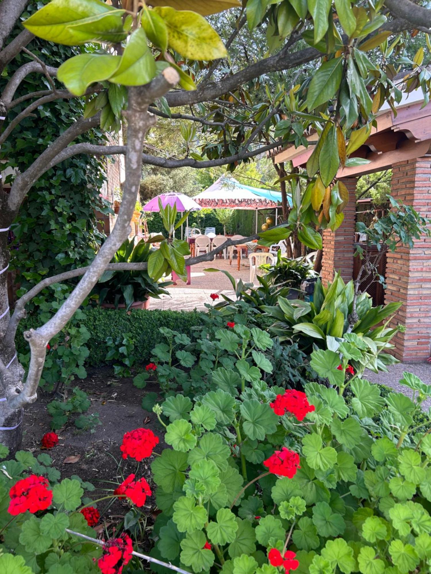 Casa Los Rosales Alfacar Dış mekan fotoğraf